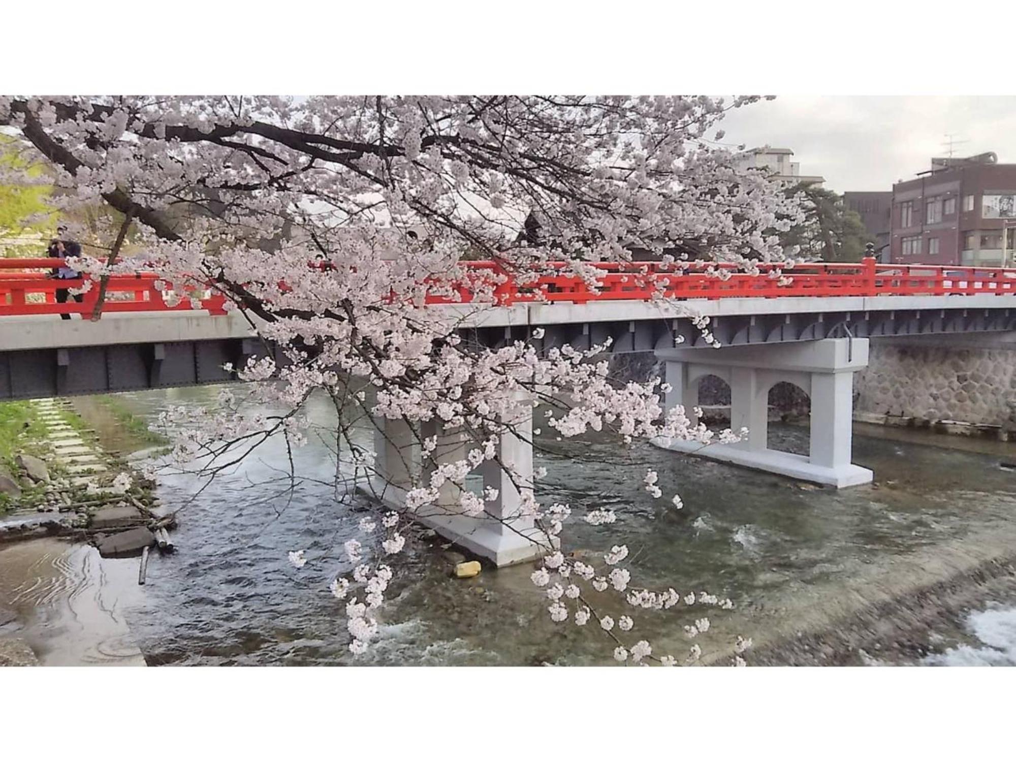 Tomareru Sento Taka No Yu - Vacation Stay 00556V Takayama  Extérieur photo