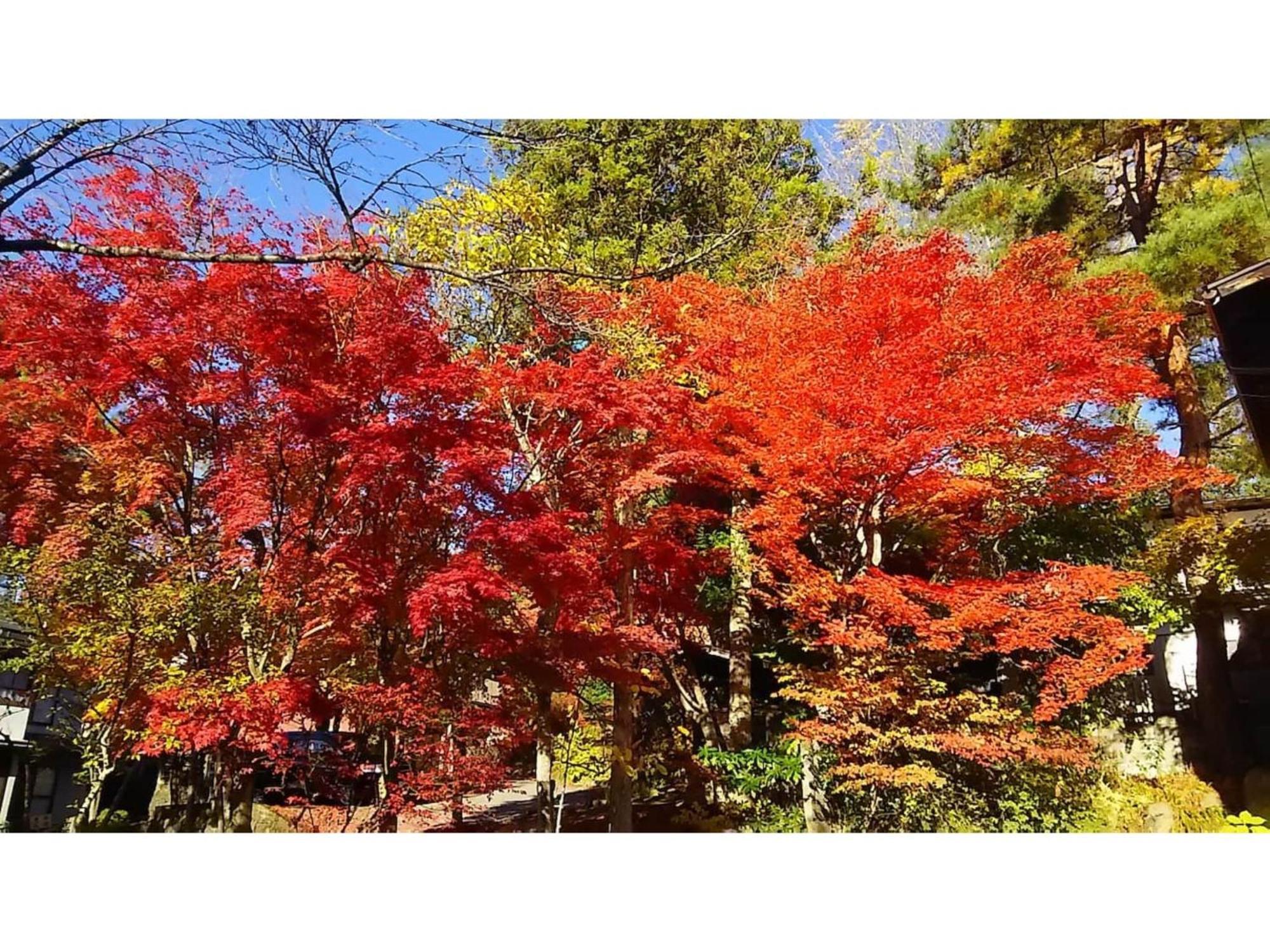 Tomareru Sento Taka No Yu - Vacation Stay 00556V Takayama  Extérieur photo